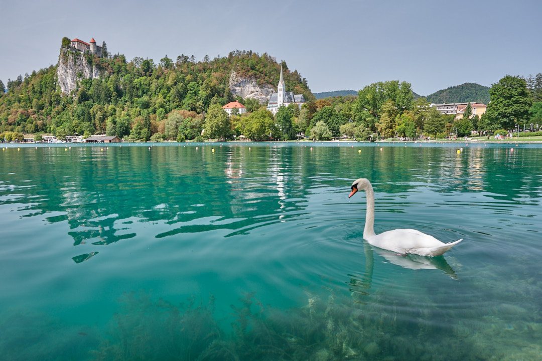 Österreich & Slowenien 2026